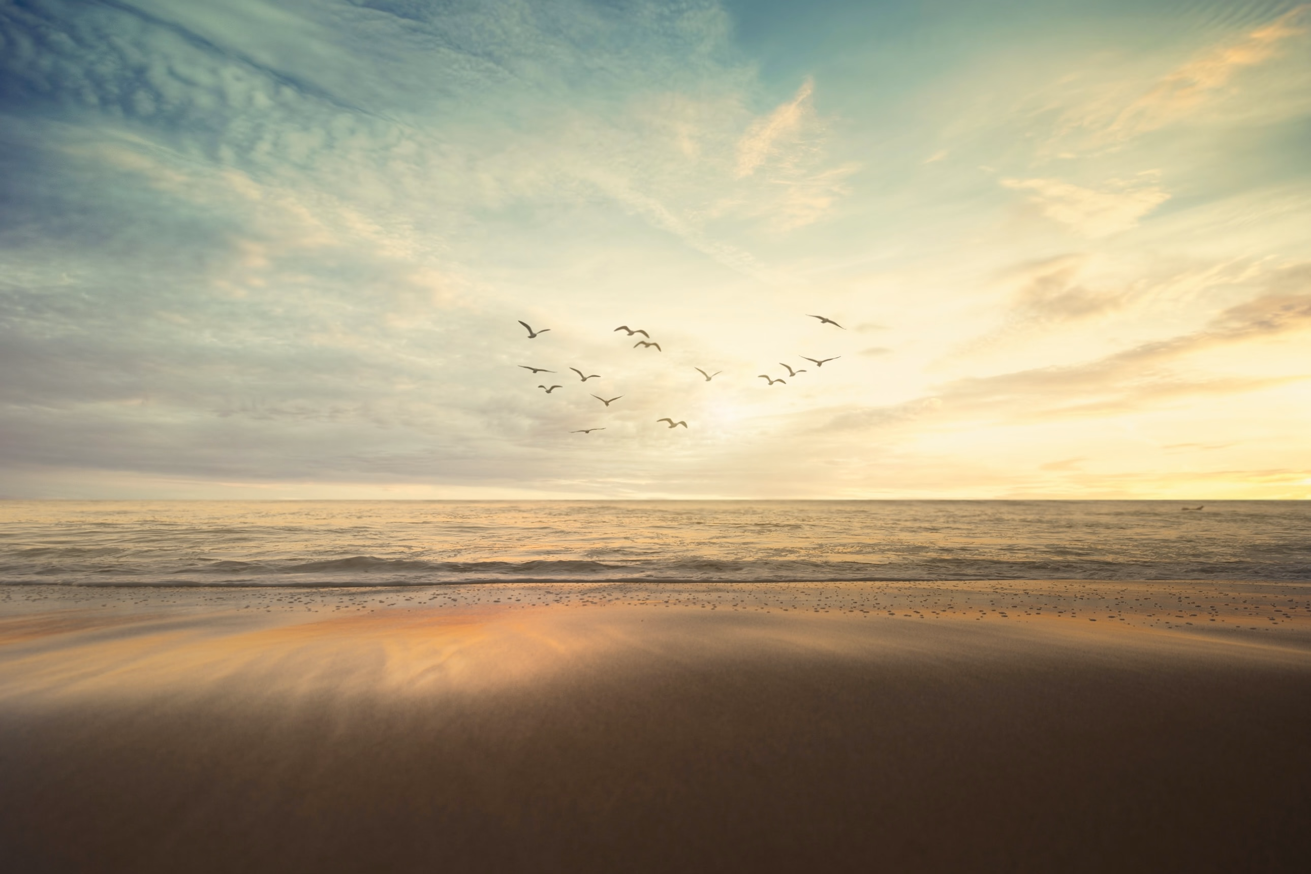 Client Reporting for Advisors: Why Traceable Source State Matters