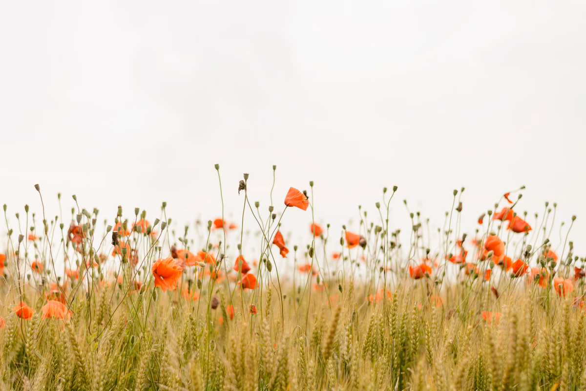 Portfolio Optimization, Part 7: Factor Models, Covariance, and the Engine